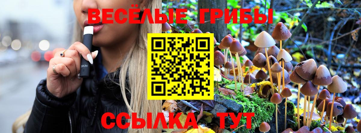 Галлюциногенные грибы прущие грибы  Вход с VPN  закладки  Псилоцибиновые грибы прущие грибы  Краснокаменск 